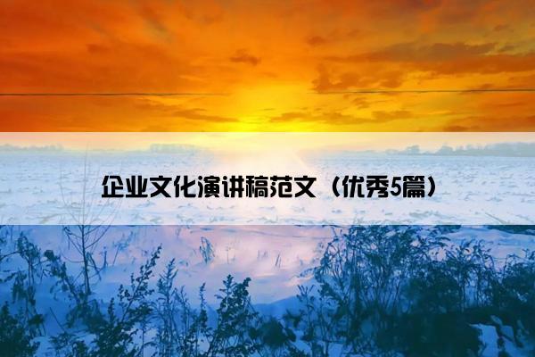 企业文化演讲稿范文（优秀5篇）