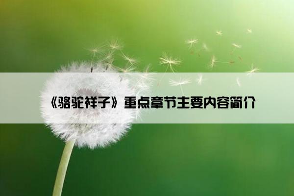 《骆驼祥子》重点章节主要内容简介