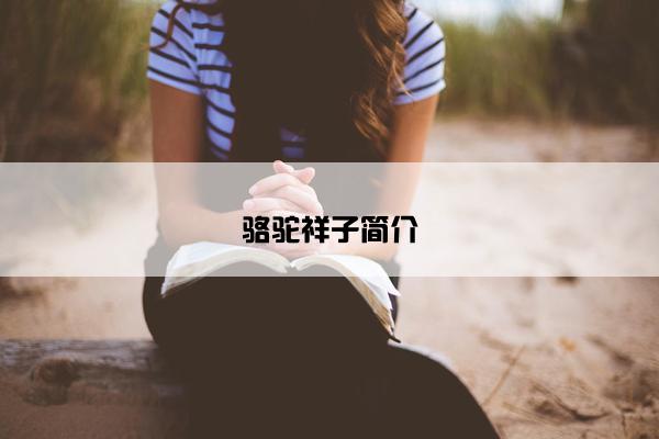 骆驼祥子简介