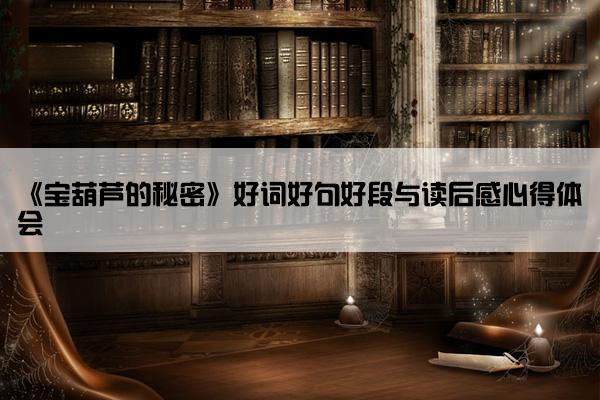 《宝葫芦的秘密》好词好句好段与读后感心得体会