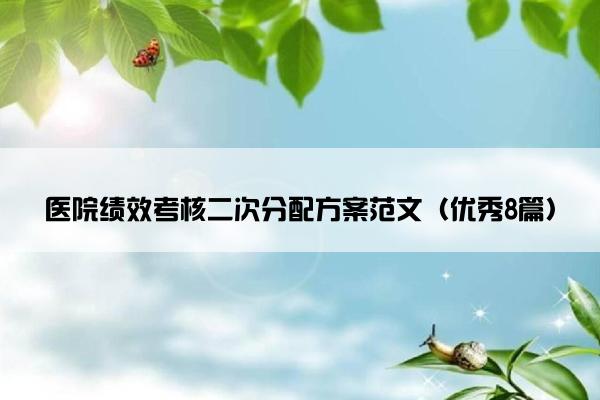 医院绩效考核二次分配方案范文（优秀8篇）