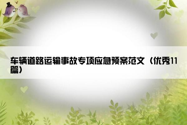 车辆道路运输事故专项应急预案范文（优秀11篇）