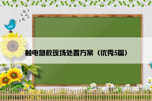 触电急救现场处置方案（优秀5篇）