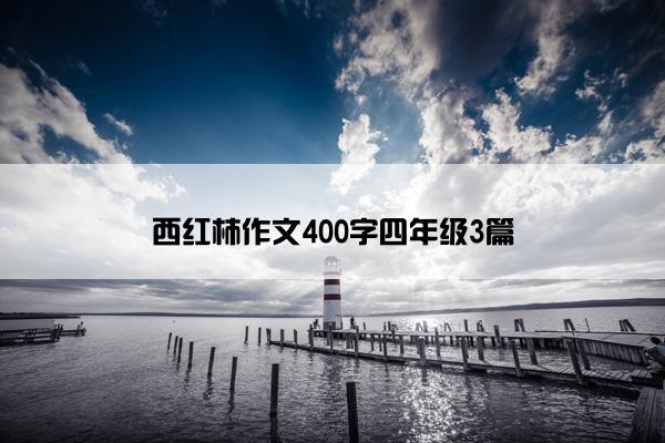 西红柿作文400字四年级3篇