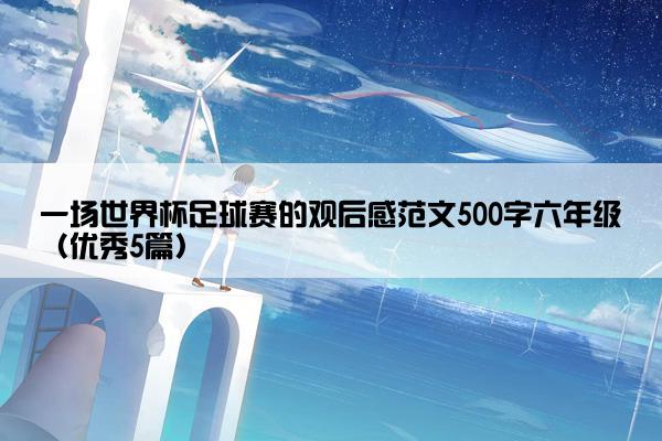 一场世界杯足球赛的观后感范文500字六年级（优秀5篇）