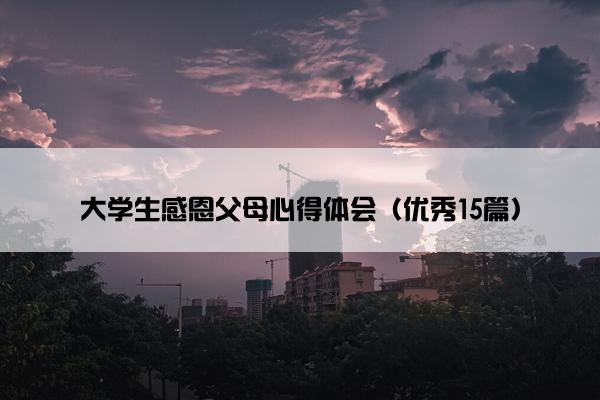 大学生感恩父母心得体会（优秀15篇）