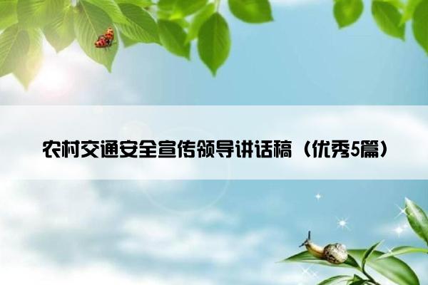 农村交通安全宣传领导讲话稿（优秀5篇）