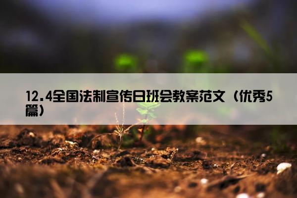 12.4全国法制宣传日班会教案范文（优秀5篇）
