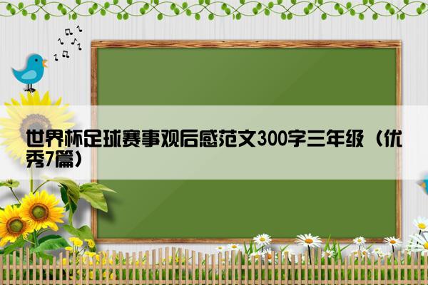 世界杯足球赛事观后感范文300字三年级（优秀7篇）