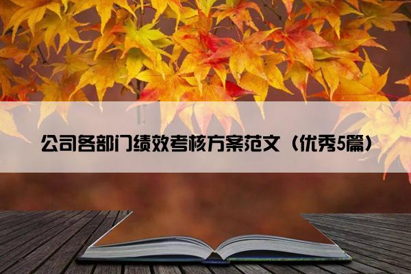 公司各部门绩效考核方案范文（优秀5篇）