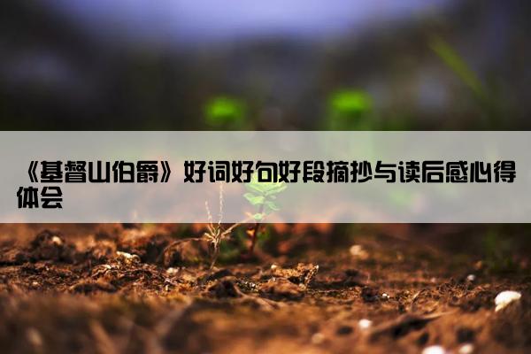 《基督山伯爵》好词好句好段摘抄与读后感心得体会