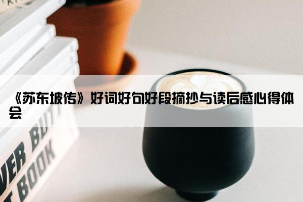 《苏东坡传》好词好句好段摘抄与读后感心得体会