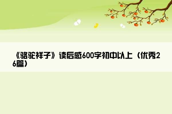 《骆驼祥子》读后感600字初中以上（优秀26篇）