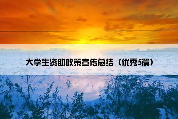 大学生资助政策宣传总结（优秀5篇）