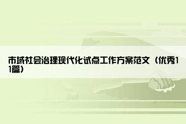 市域社会治理现代化试点工作方案范文（优秀11篇）