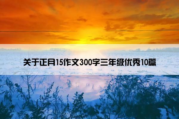 关于正月15作文300字三年级优秀10篇