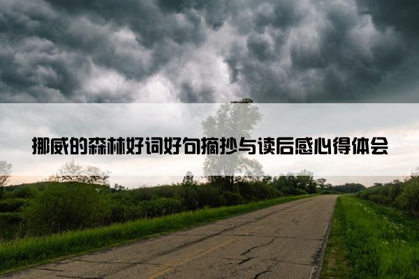 挪威的森林好词好句摘抄与读后感心得体会