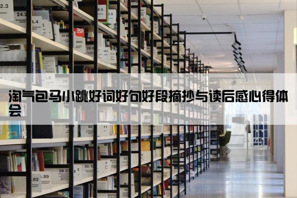 淘气包马小跳好词好句好段摘抄与读后感心得体会