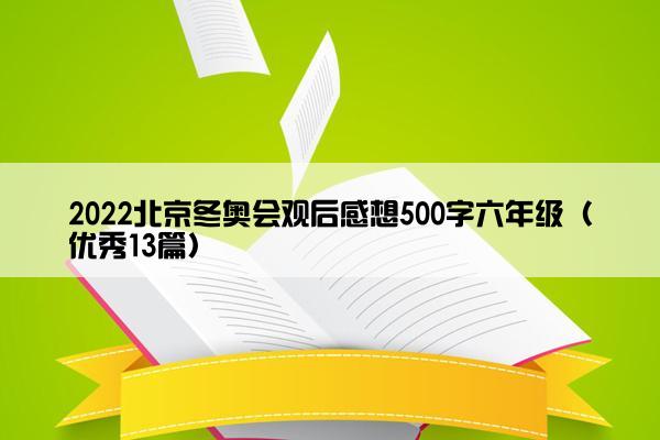 2022北京冬奥会观后感想500字六年级（优秀13篇）