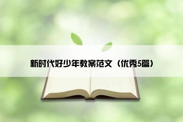 新时代好少年教案范文（优秀5篇）