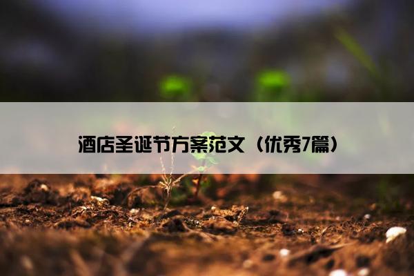 酒店圣诞节方案范文（优秀7篇）