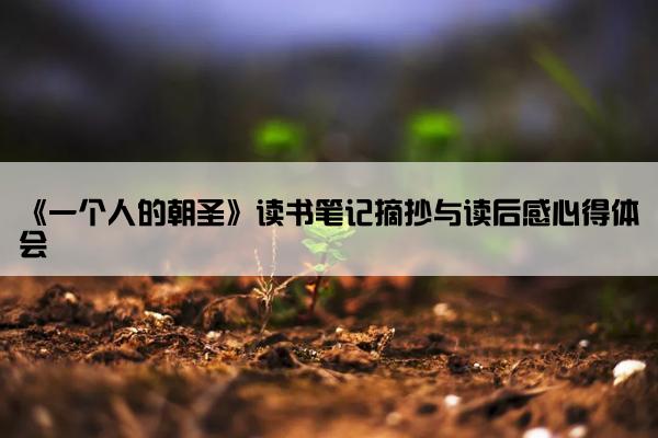 《一个人的朝圣》读书笔记摘抄与读后感心得体会