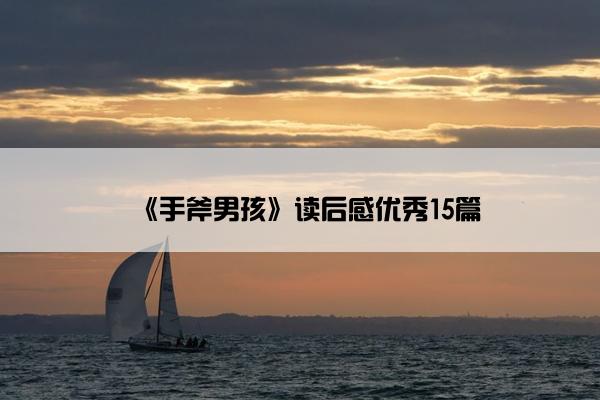 《手斧男孩》读后感优秀15篇