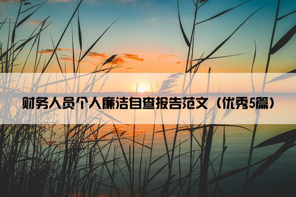 财务人员个人廉洁自查报告范文（优秀5篇）