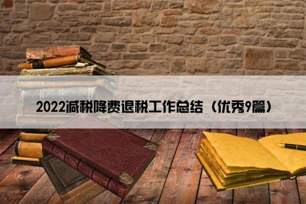2022减税降费退税工作总结（优秀9篇）