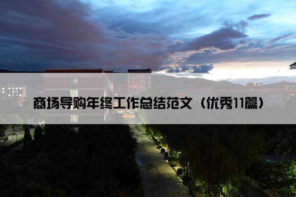 商场导购年终工作总结范文（优秀11篇）