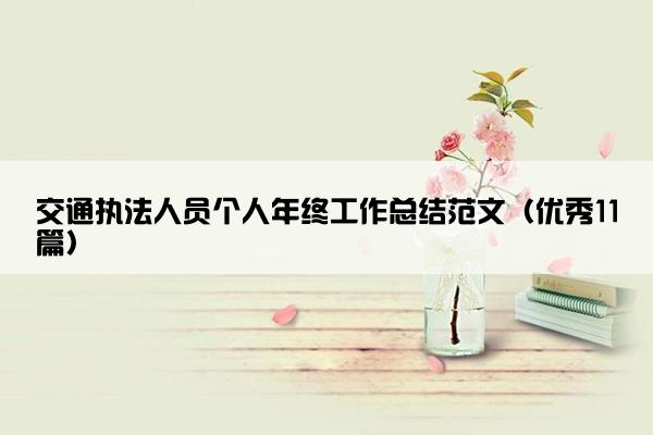 交通执法人员个人年终工作总结范文（优秀11篇）