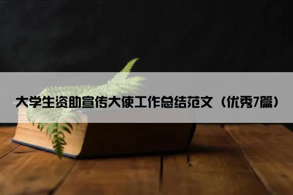 大学生资助宣传大使工作总结范文（优秀7篇）