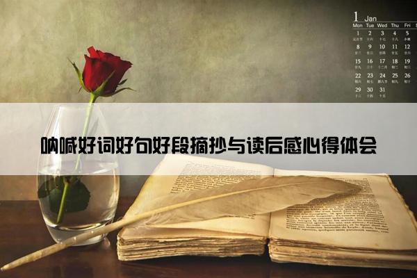 呐喊好词好句好段摘抄与读后感心得体会