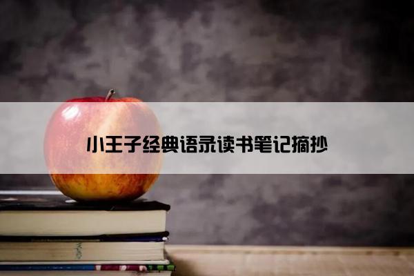 小王子经典语录读书笔记摘抄