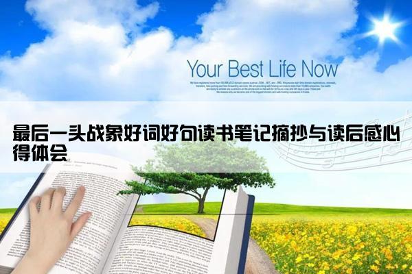 最后一头战象好词好句读书笔记摘抄与读后感心得体会
