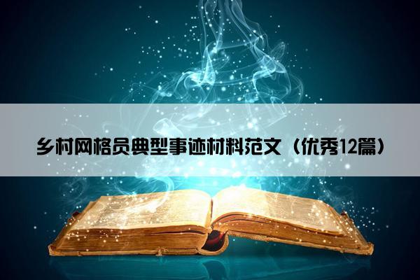 乡村网格员典型事迹材料范文（优秀12篇）