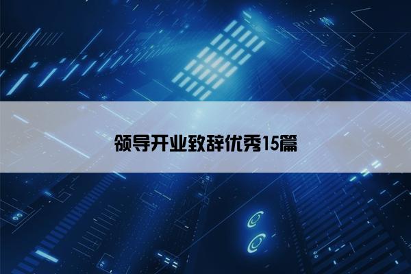 领导开业致辞优秀15篇
