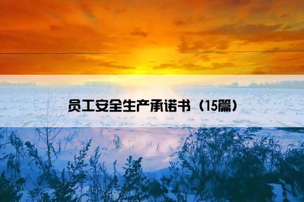 员工安全生产承诺书（15篇）