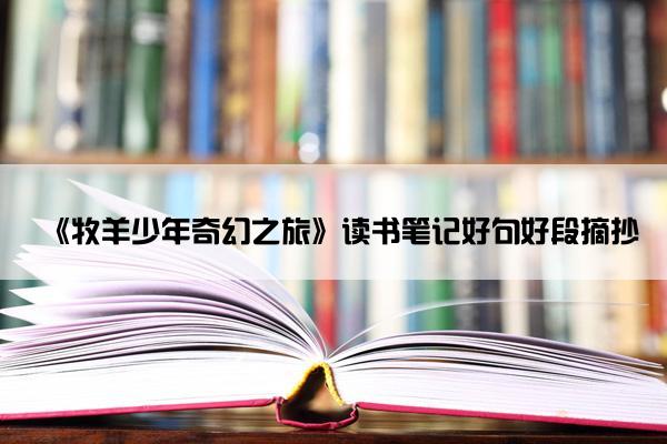 《牧羊少年奇幻之旅》读书笔记好句好段摘抄