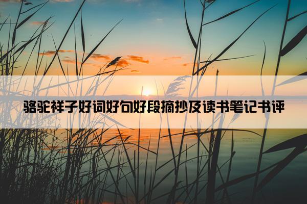 骆驼祥子好词好句好段摘抄及读书笔记书评