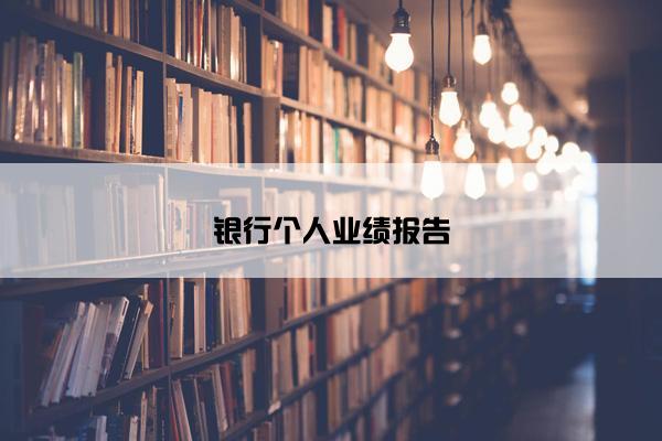 银行个人业绩报告
