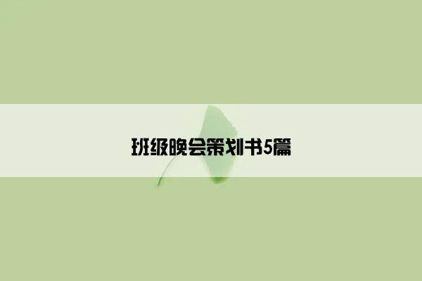 班级晚会策划书5篇