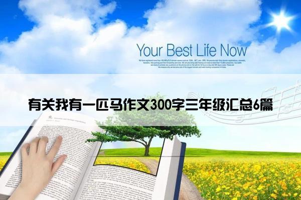 有关我有一匹马作文300字三年级汇总6篇