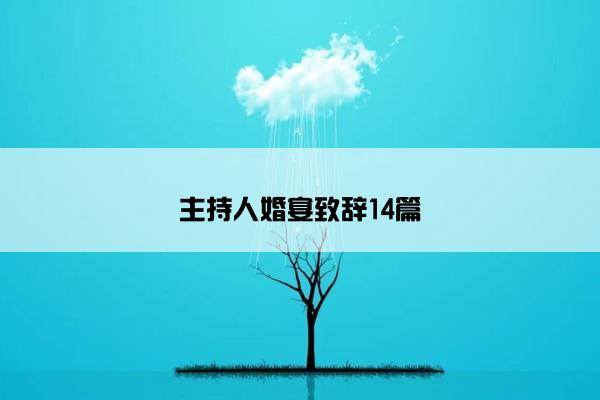 主持人婚宴致辞14篇
