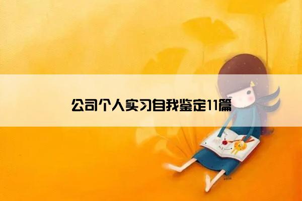 公司个人实习自我鉴定11篇
