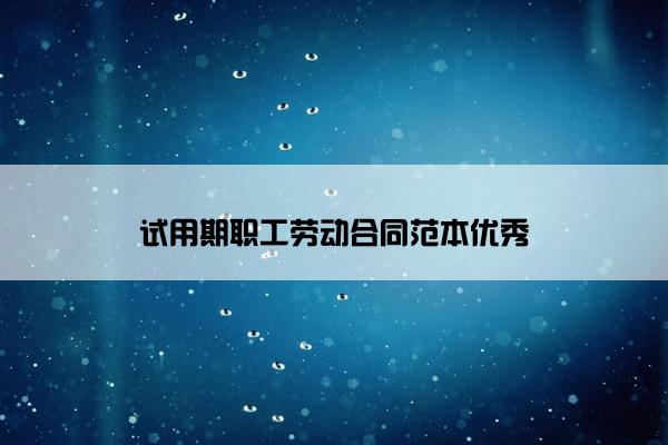 试用期职工劳动合同范本优秀