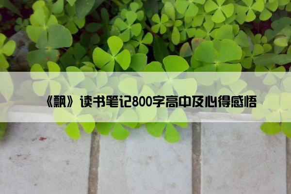 《飘》读书笔记800字高中及心得感悟
