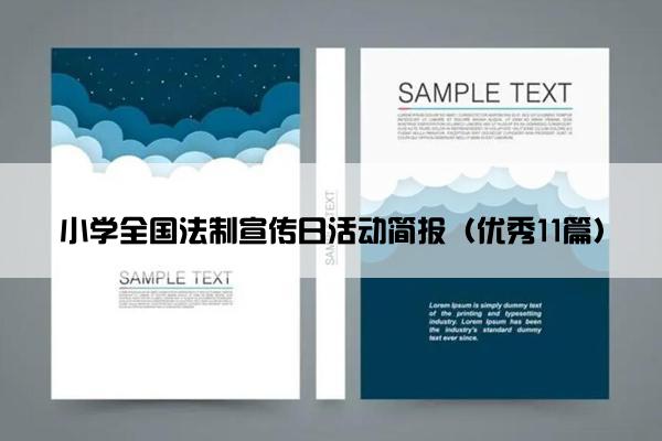 小学全国法制宣传日活动简报（优秀11篇）