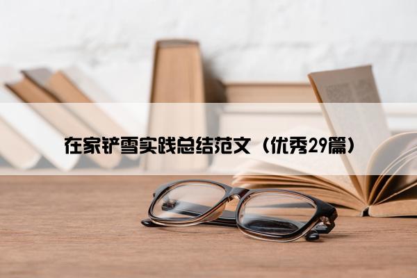 在家铲雪实践总结范文（优秀29篇）