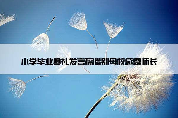 小学毕业典礼发言稿惜别母校感恩师长